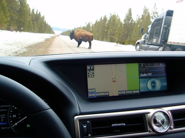 2014 Lexus GS 350 buffalo in road