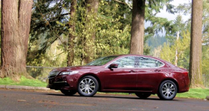 2015 Acura TLX Test Drive