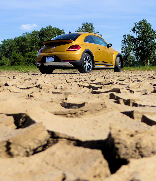 2016 Volkswagen Dune rear q