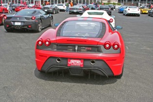 A-field-of-Ferraris