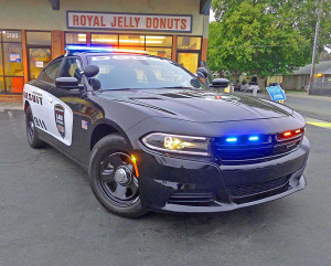 2015 Dodge Charger Police Pursuit Test Drive